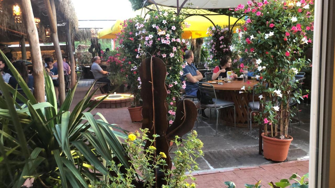 Zys Hotel Wettingen Kültér fotó